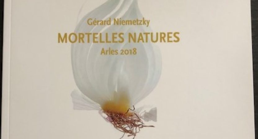 APHORISMES, pour Gerard Niemetzky